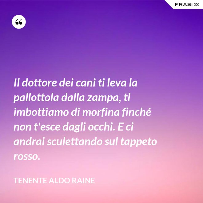 Il dottore dei cani ti leva la pallottola dalla zampa, ti imbottiamo di morfina finché non t'esce dagli occhi. E ci andrai sculettando sul tappeto rosso. - Tenente Aldo Raine