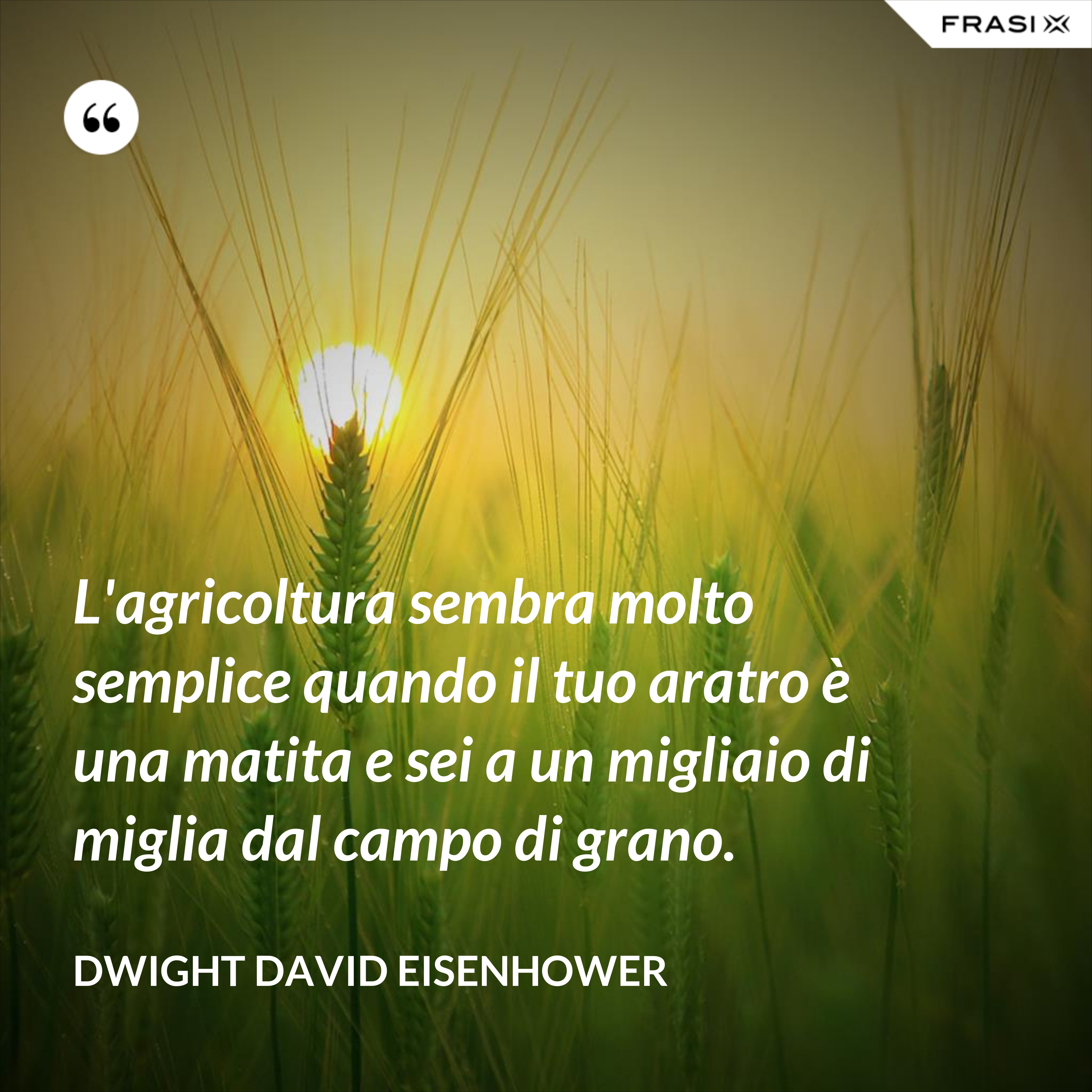 L'agricoltura sembra molto semplice quando il tuo aratro è una matita e sei a un migliaio di miglia dal campo di grano. - Dwight David Eisenhower