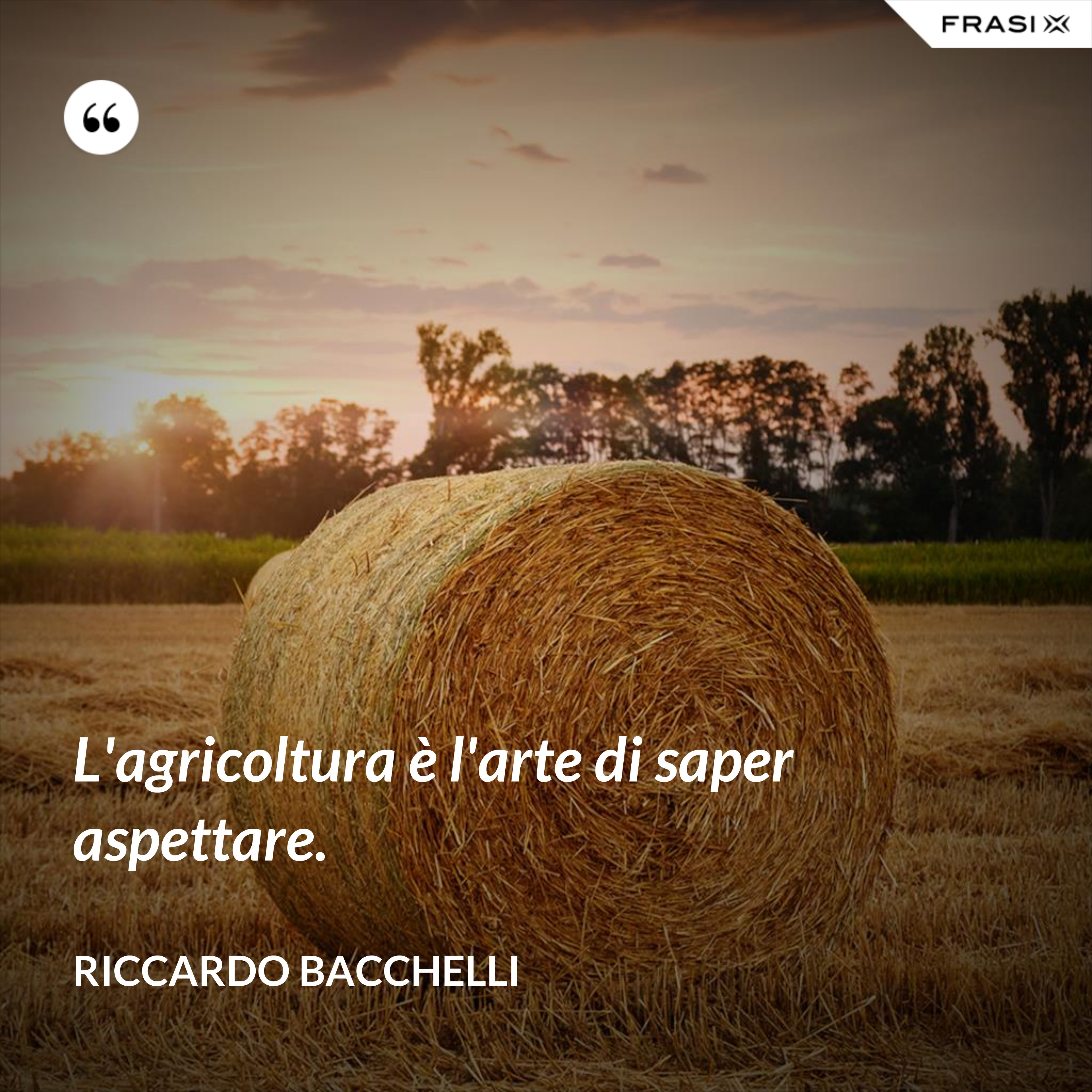 L'agricoltura è l'arte di saper aspettare. - Riccardo Bacchelli