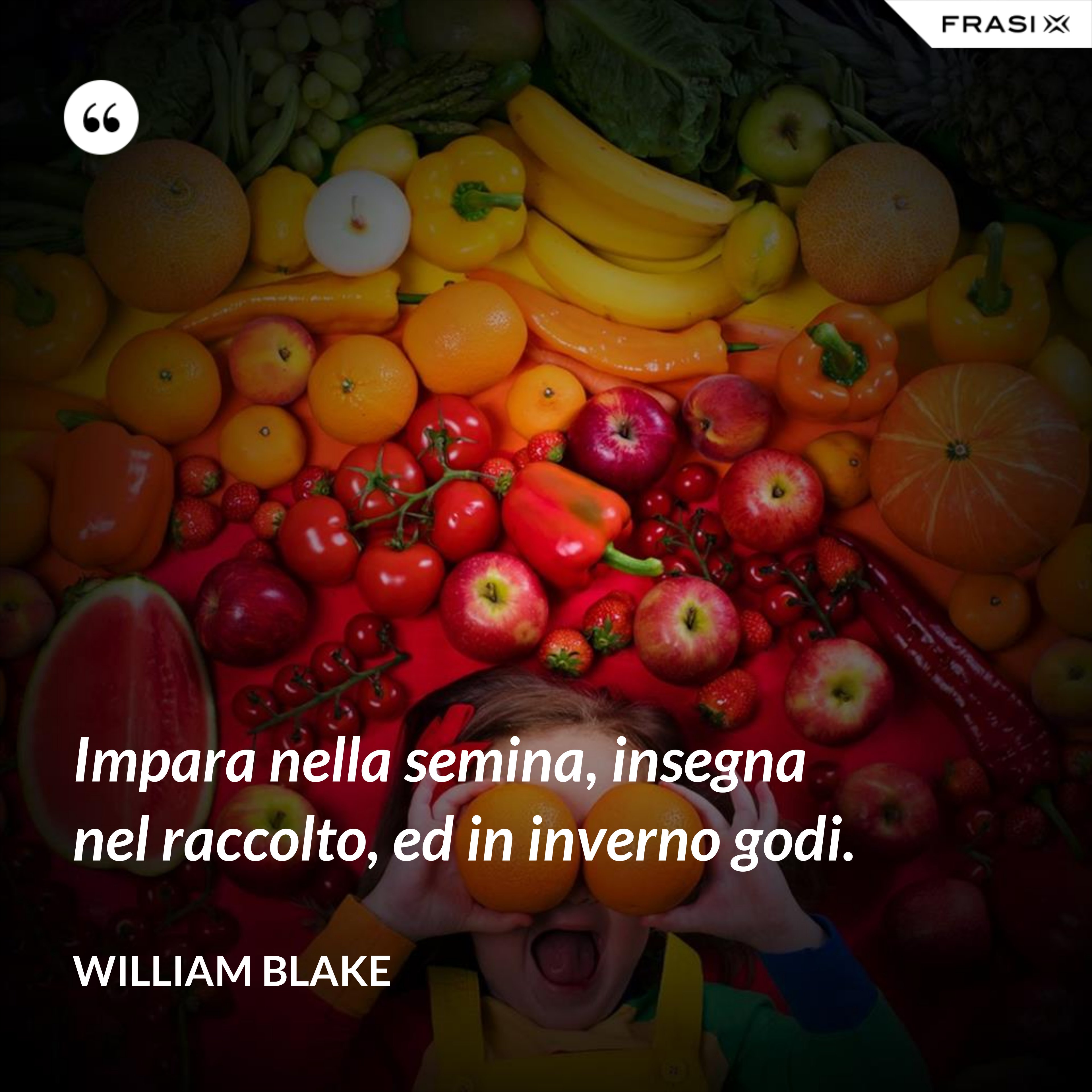 Impara nella semina, insegna nel raccolto, ed in inverno godi. - William Blake