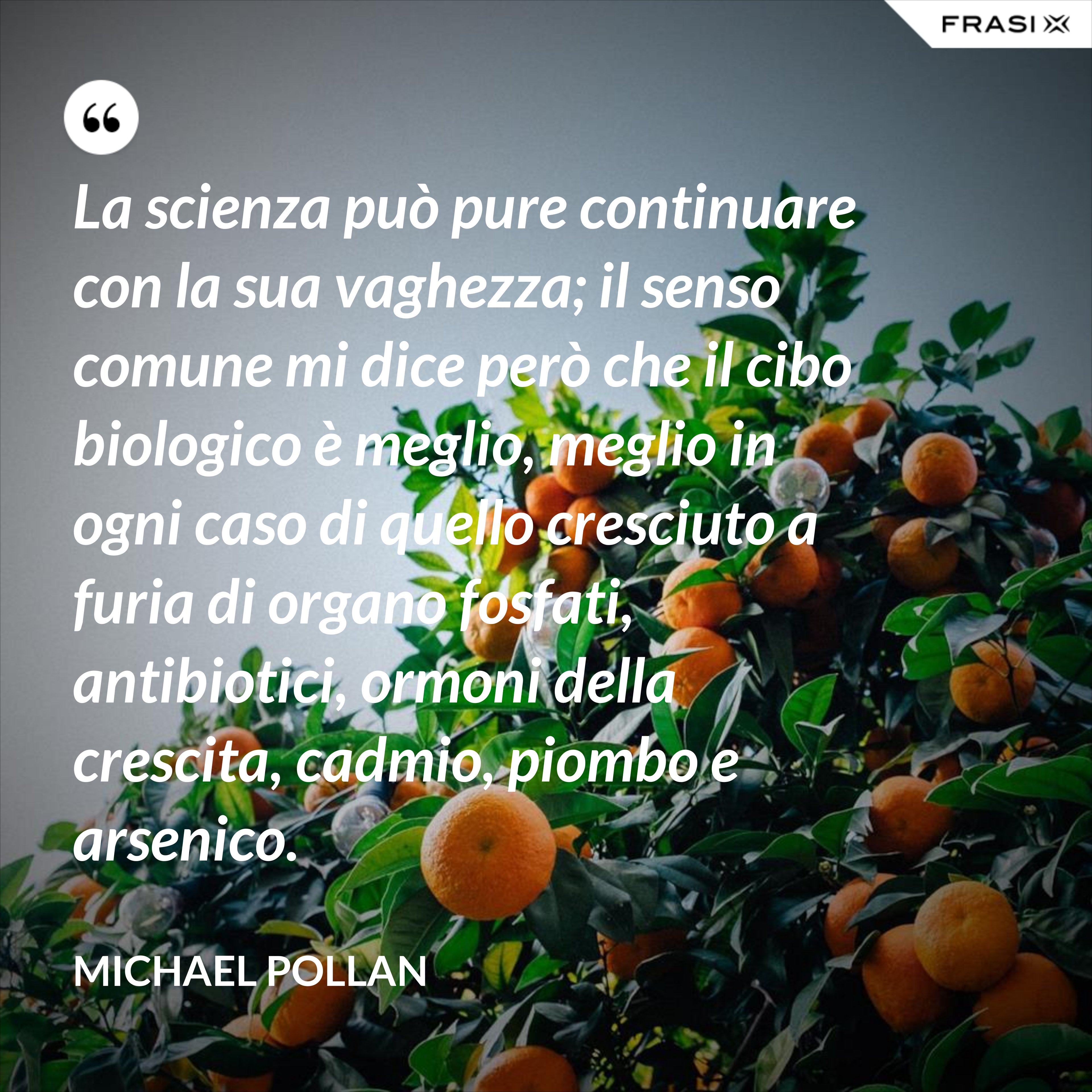 La scienza può pure continuare con la sua vaghezza; il senso comune mi dice però che il cibo biologico è meglio, meglio in ogni caso di quello cresciuto a furia di organo fosfati, antibiotici, ormoni della crescita, cadmio, piombo e arsenico. - Michael Pollan