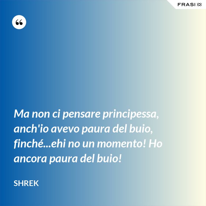 Ma non ci pensare principessa, anch'io avevo paura del buio, finché...ehi no un momento! Ho ancora paura del buio! - Shrek