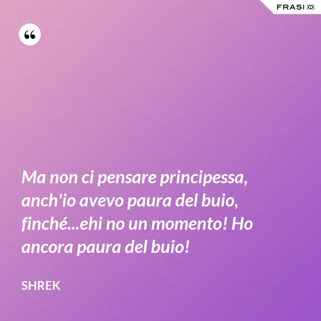 Ma non ci pensare principessa, anch'io avevo paura del buio, finché...ehi no un momento! Ho ancora paura del buio! - Shrek