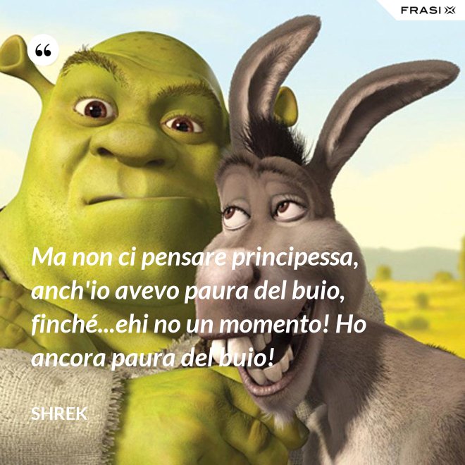 Ma non ci pensare principessa, anch'io avevo paura del buio, finché...ehi no un momento! Ho ancora paura del buio! - Shrek