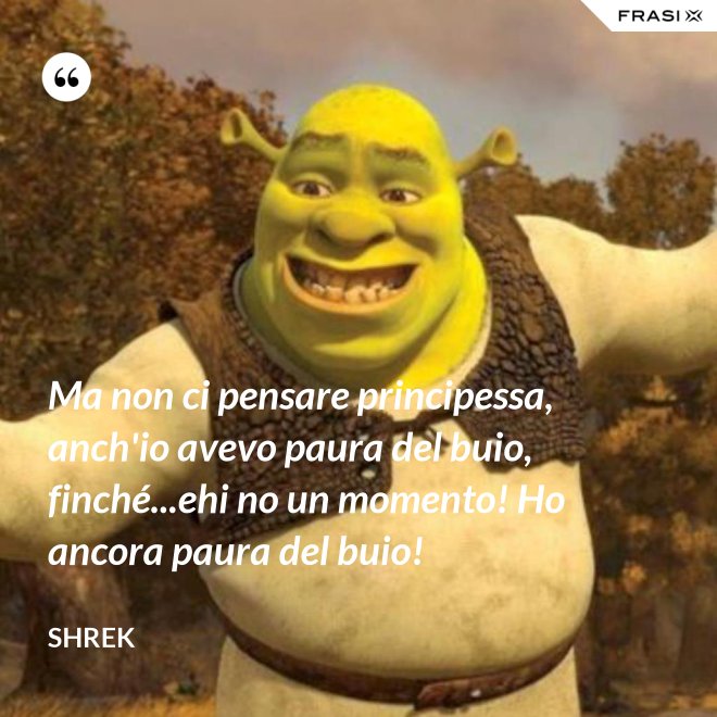 Ma non ci pensare principessa, anch'io avevo paura del buio, finché...ehi no un momento! Ho ancora paura del buio! - Shrek