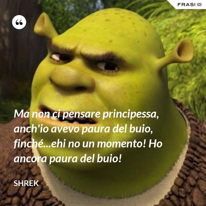 Ma non ci pensare principessa, anch'io avevo paura del buio, finché...ehi no un momento! Ho ancora paura del buio! - Shrek