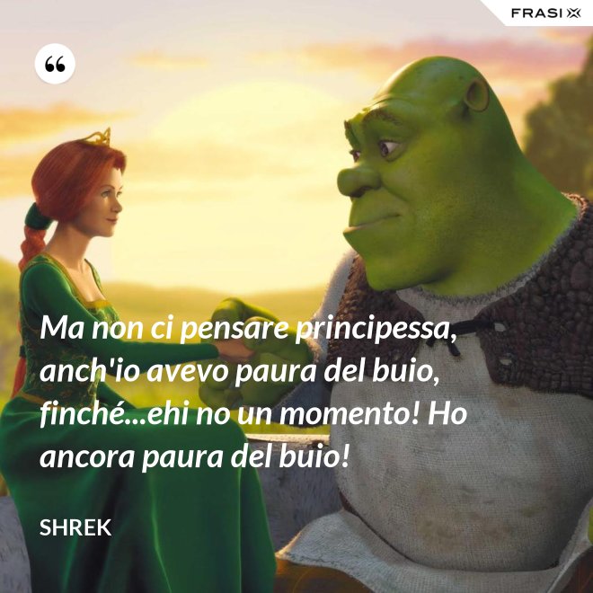 Ma non ci pensare principessa, anch'io avevo paura del buio, finché...ehi no un momento! Ho ancora paura del buio! - Shrek