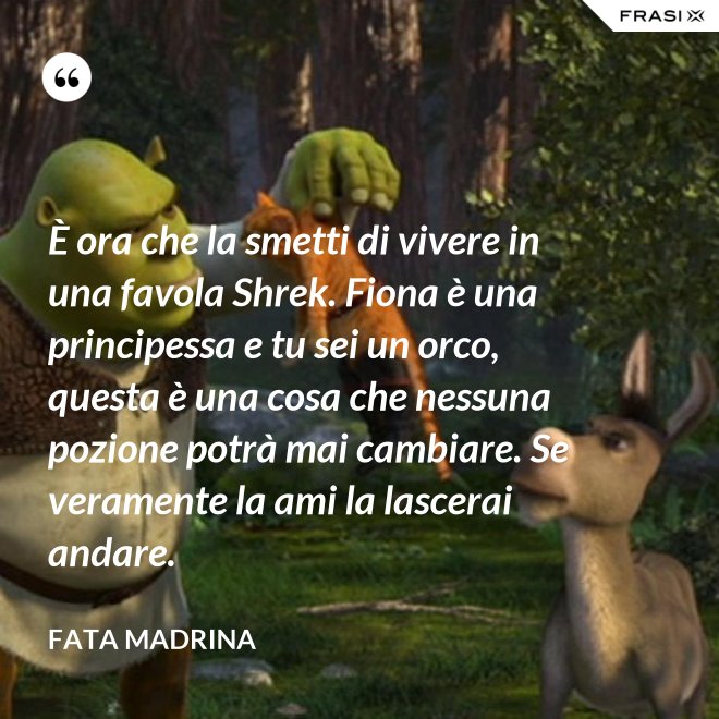 È ora che la smetti di vivere in una favola Shrek. Fiona è una principessa e tu sei un orco, questa è una cosa che nessuna pozione potrà mai cambiare. Se veramente la ami la lascerai andare. - Fata Madrina