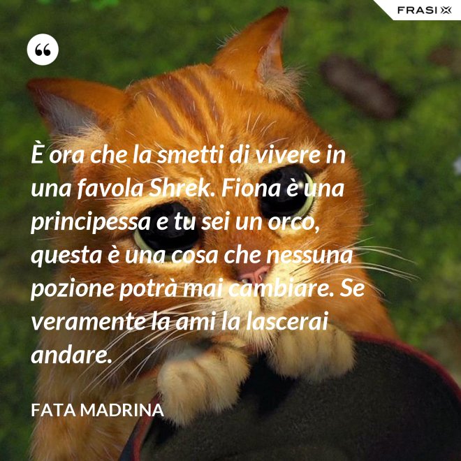 È ora che la smetti di vivere in una favola Shrek. Fiona è una principessa e tu sei un orco, questa è una cosa che nessuna pozione potrà mai cambiare. Se veramente la ami la lascerai andare. - Fata Madrina