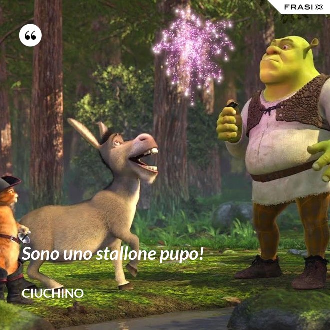 Sono uno stallone pupo! - Ciuchino