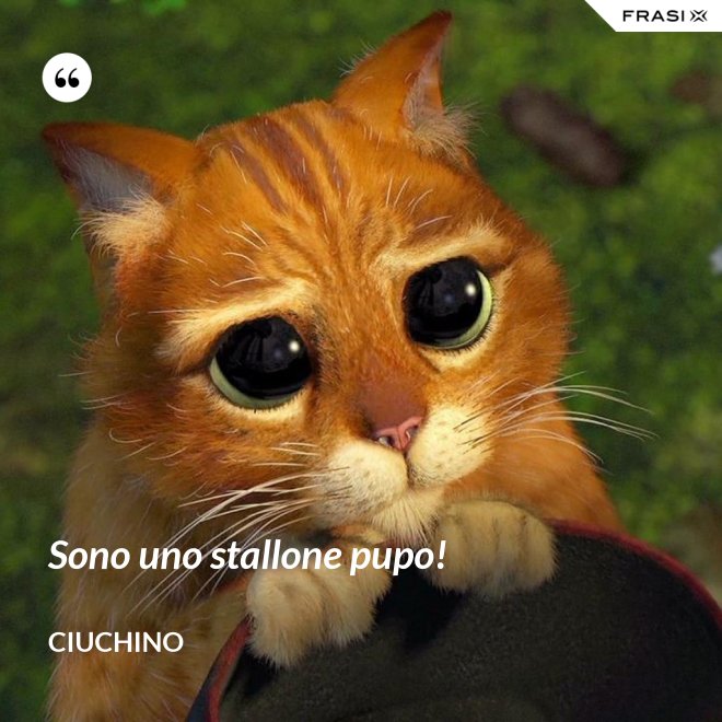 Sono uno stallone pupo! - Ciuchino