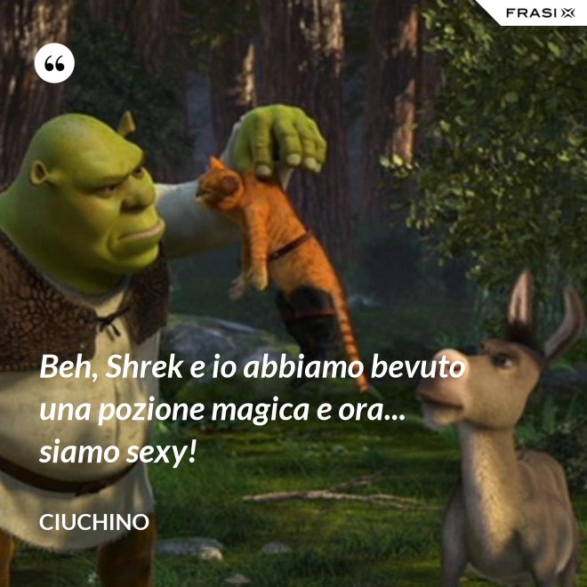 Beh, Shrek e io abbiamo bevuto una pozione magica e ora... siamo sexy! - Ciuchino