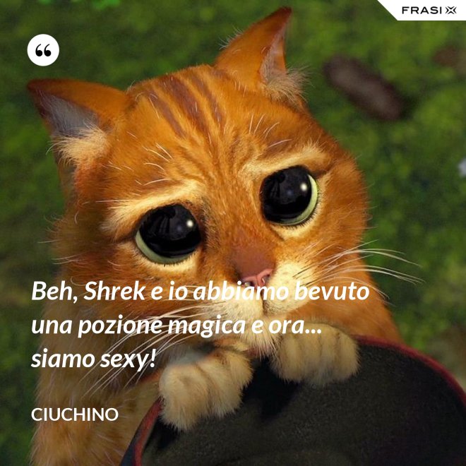 Beh, Shrek e io abbiamo bevuto una pozione magica e ora... siamo sexy! - Ciuchino