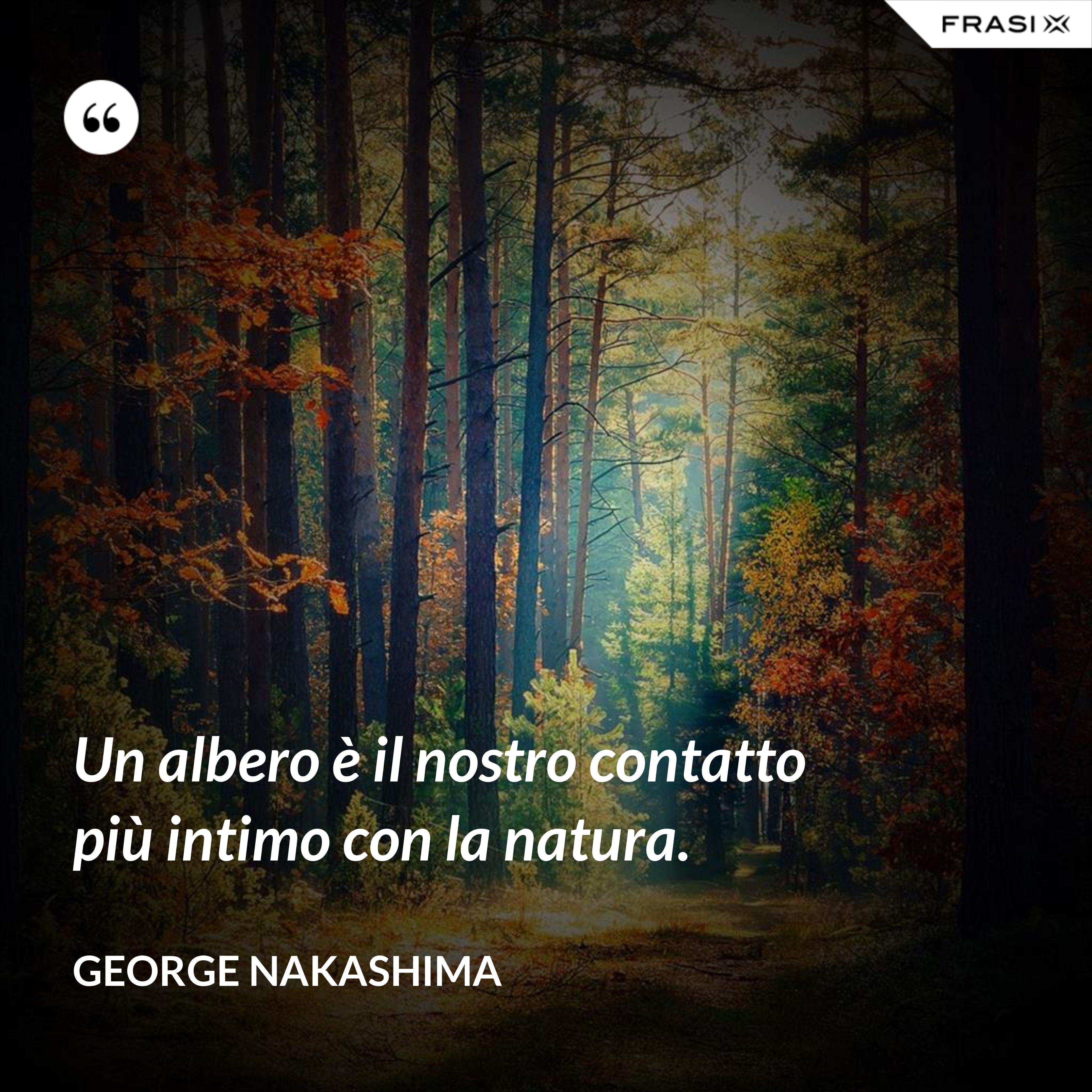 Un albero è il nostro contatto più intimo con la natura. - George Nakashima