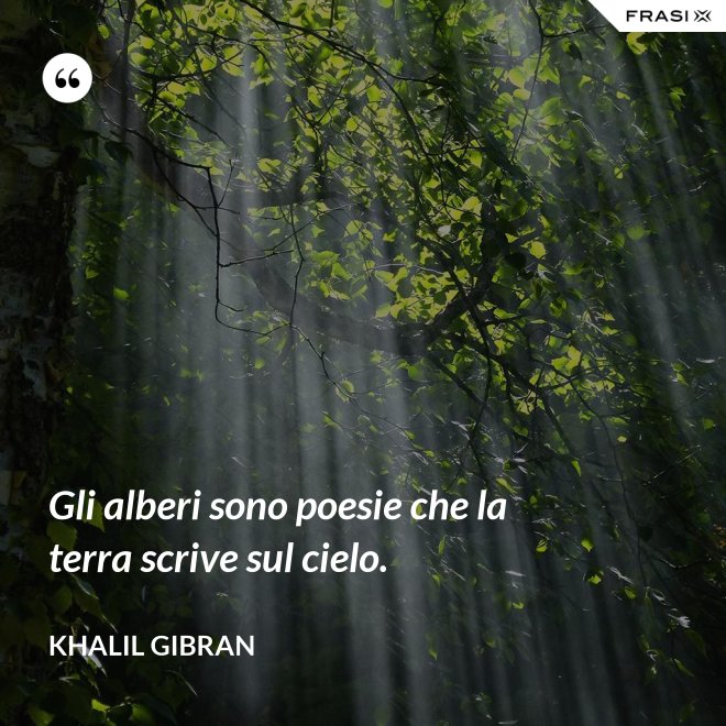 Gli alberi sono poesie che la terra scrive sul cielo. - Khalil Gibran