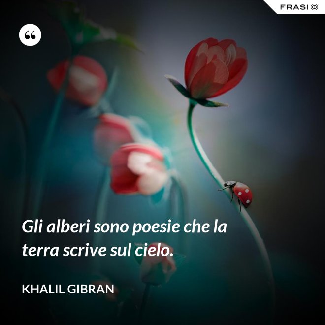 Gli alberi sono poesie che la terra scrive sul cielo. - Khalil Gibran