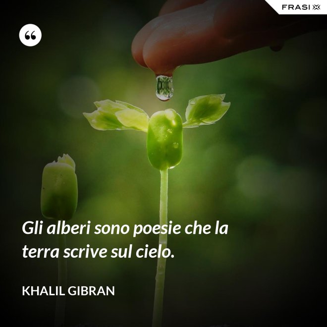 Gli alberi sono poesie che la terra scrive sul cielo. - Khalil Gibran