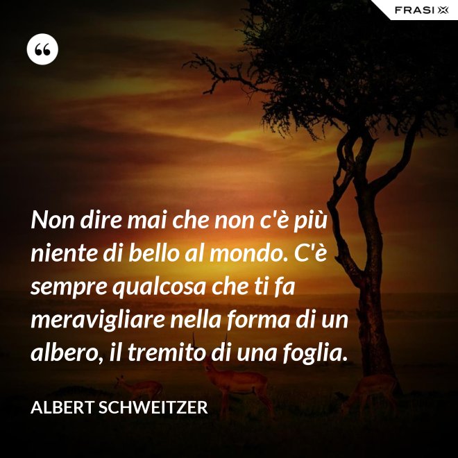 Non C è Niente Al Mondo Che Vorrei