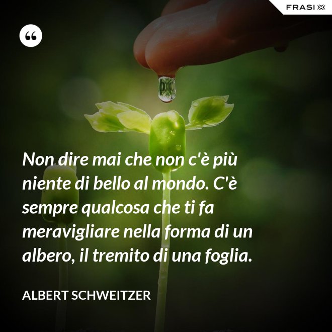 Non C è Niente Al Mondo Che Vorrei