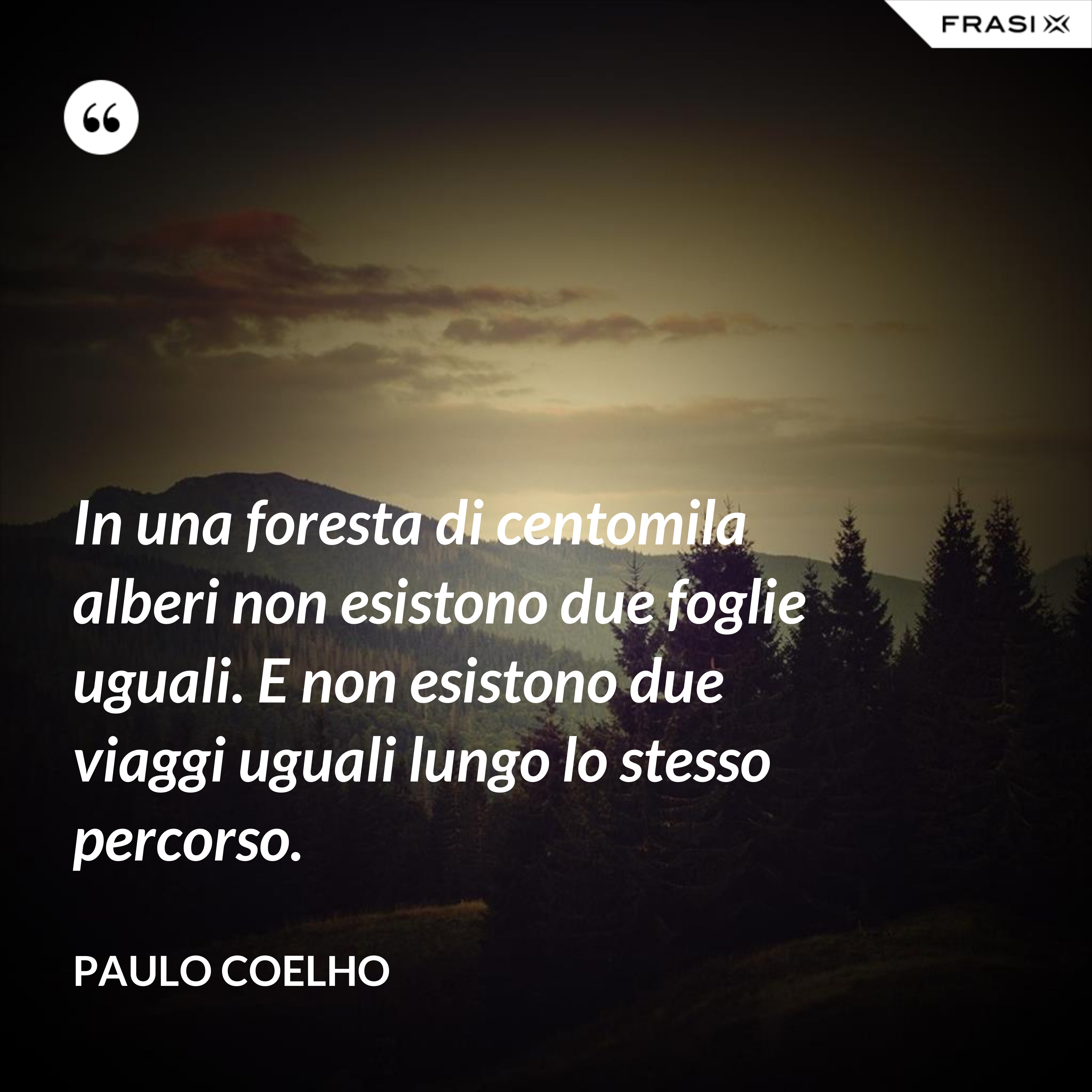 In una foresta di centomila alberi non esistono due foglie uguali. E non esistono due viaggi uguali lungo lo stesso percorso. - Paulo Coelho