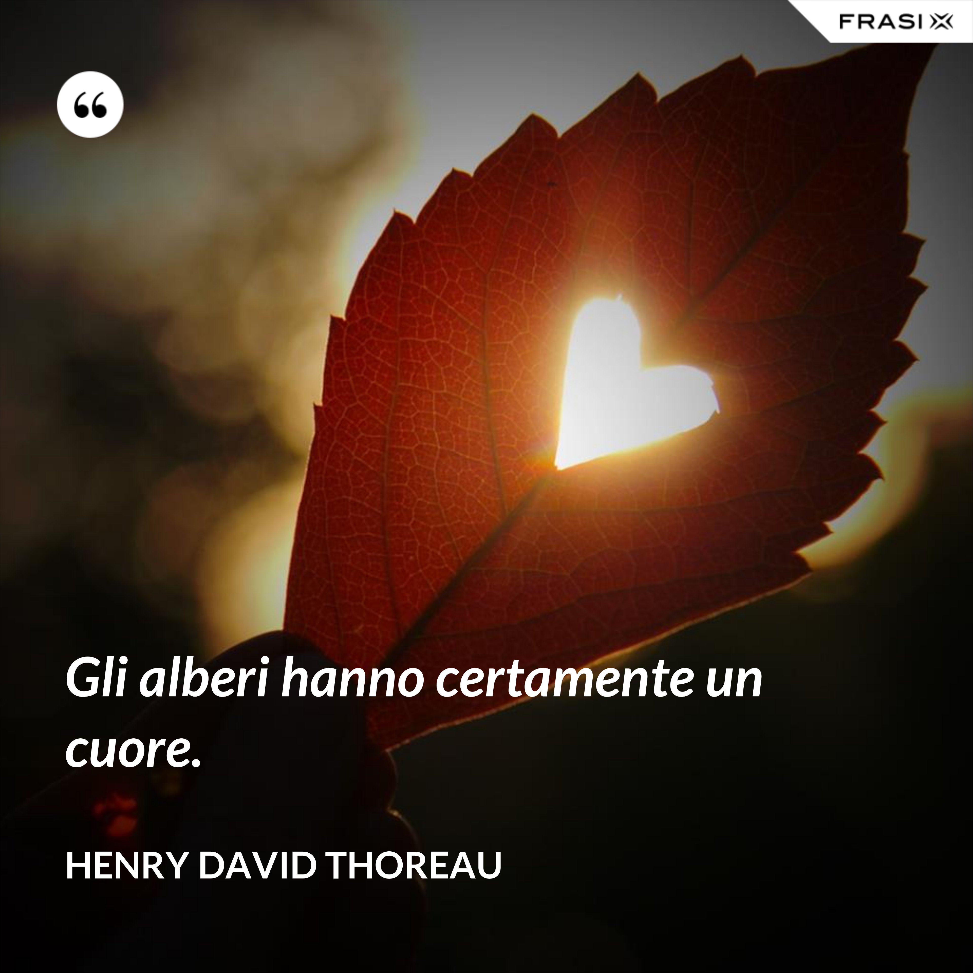 Gli alberi hanno certamente un cuore. - Henry David Thoreau