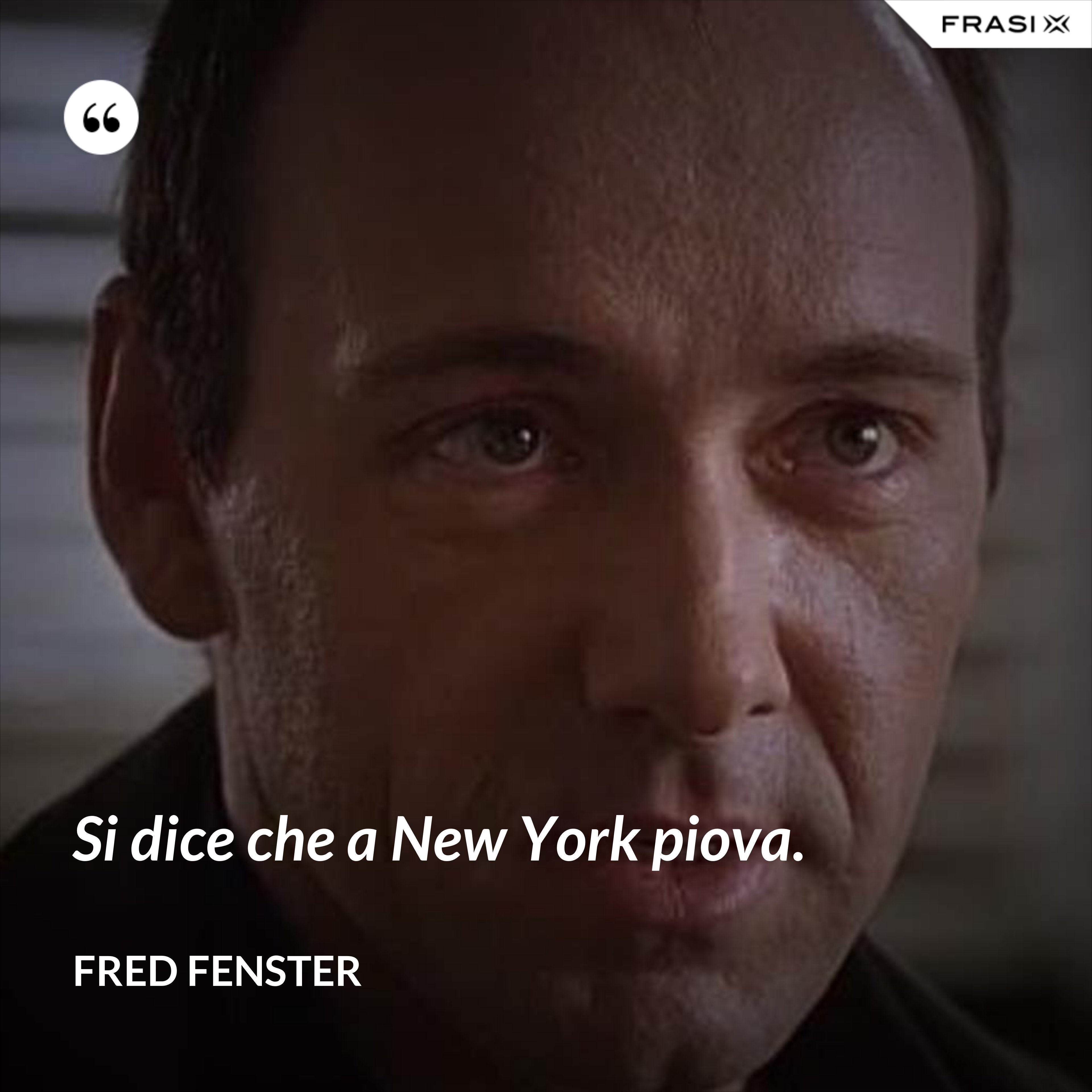 Si dice che a New York piova. - Fred Fenster