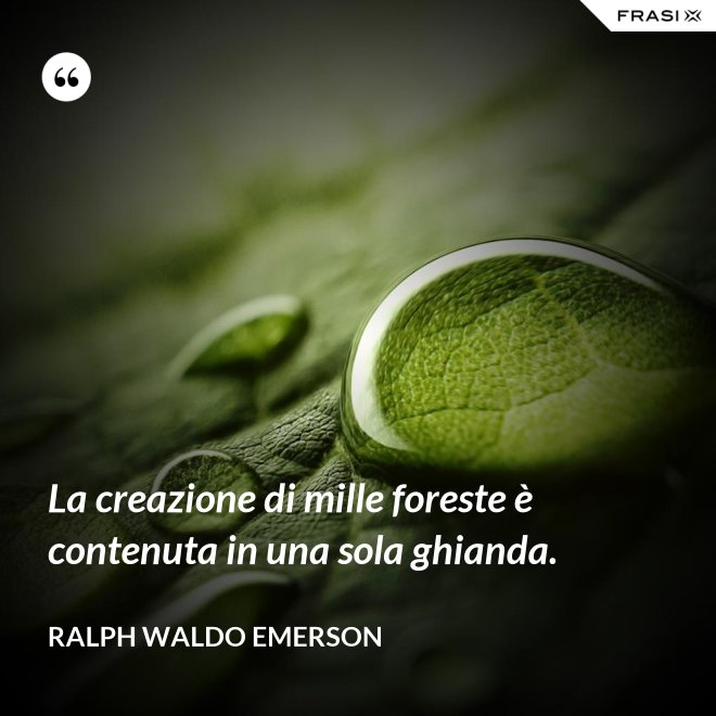 La creazione di mille foreste è contenuta in una sola ghianda. - Ralph Waldo Emerson