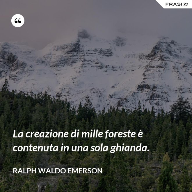 La creazione di mille foreste è contenuta in una sola ghianda. - Ralph Waldo Emerson