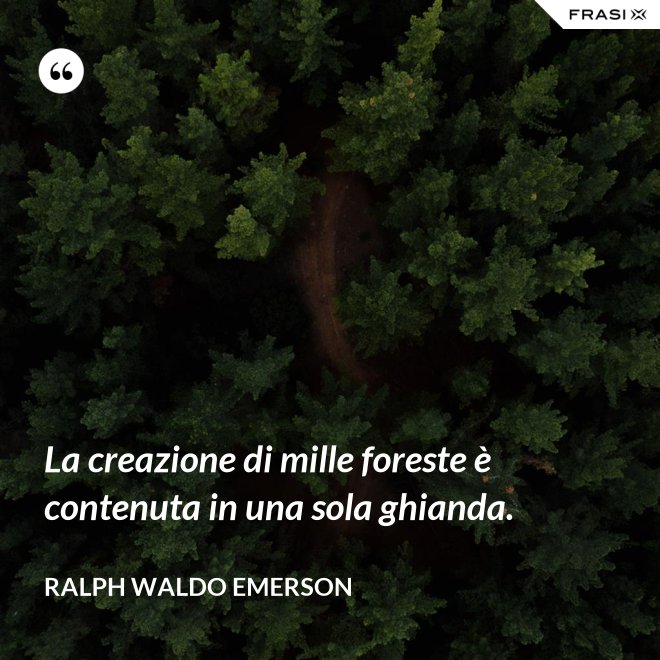 La creazione di mille foreste è contenuta in una sola ghianda. - Ralph Waldo Emerson