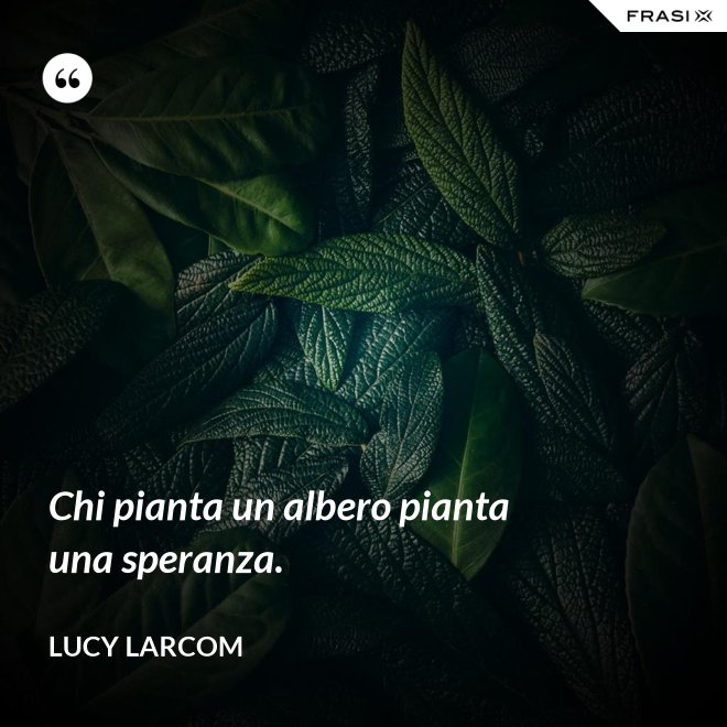 Chi pianta un albero pianta una speranza. - Lucy Larcom