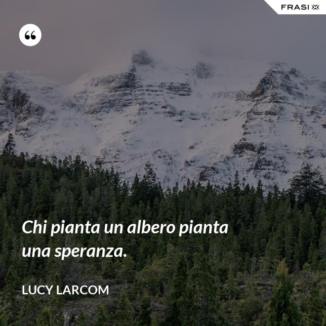 Chi pianta un albero pianta una speranza. - Lucy Larcom
