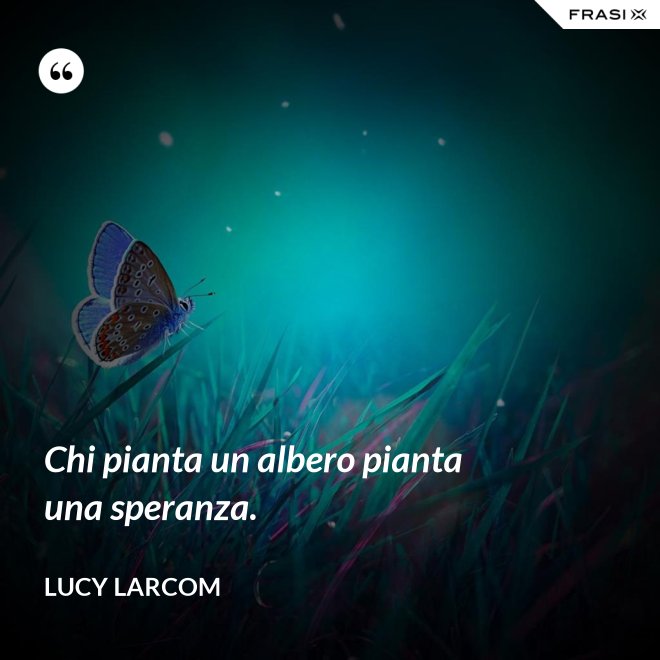 Chi pianta un albero pianta una speranza. - Lucy Larcom