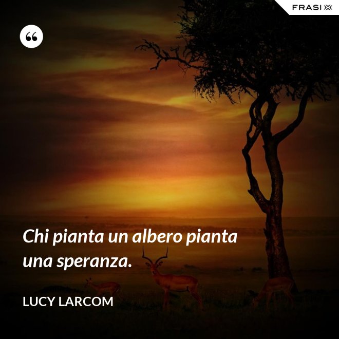 Chi pianta un albero pianta una speranza. - Lucy Larcom