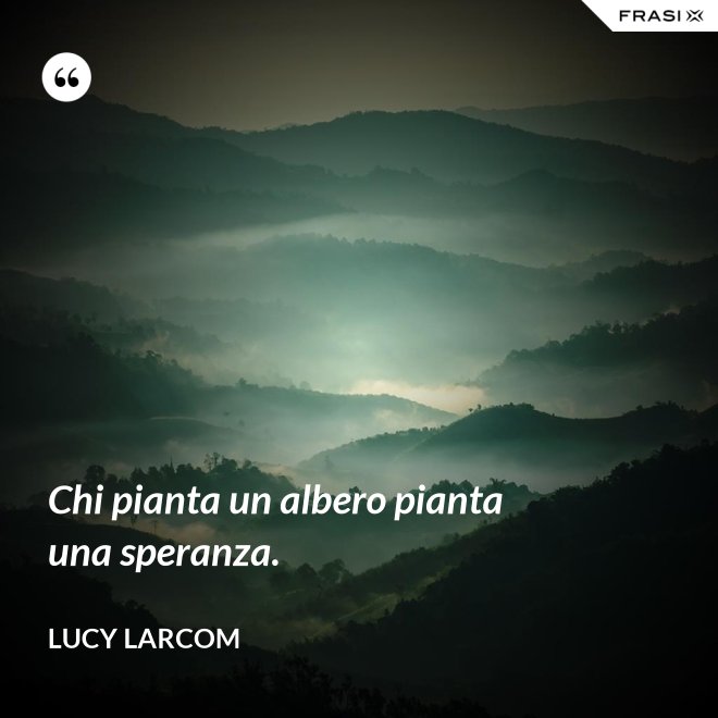 Chi pianta un albero pianta una speranza. - Lucy Larcom