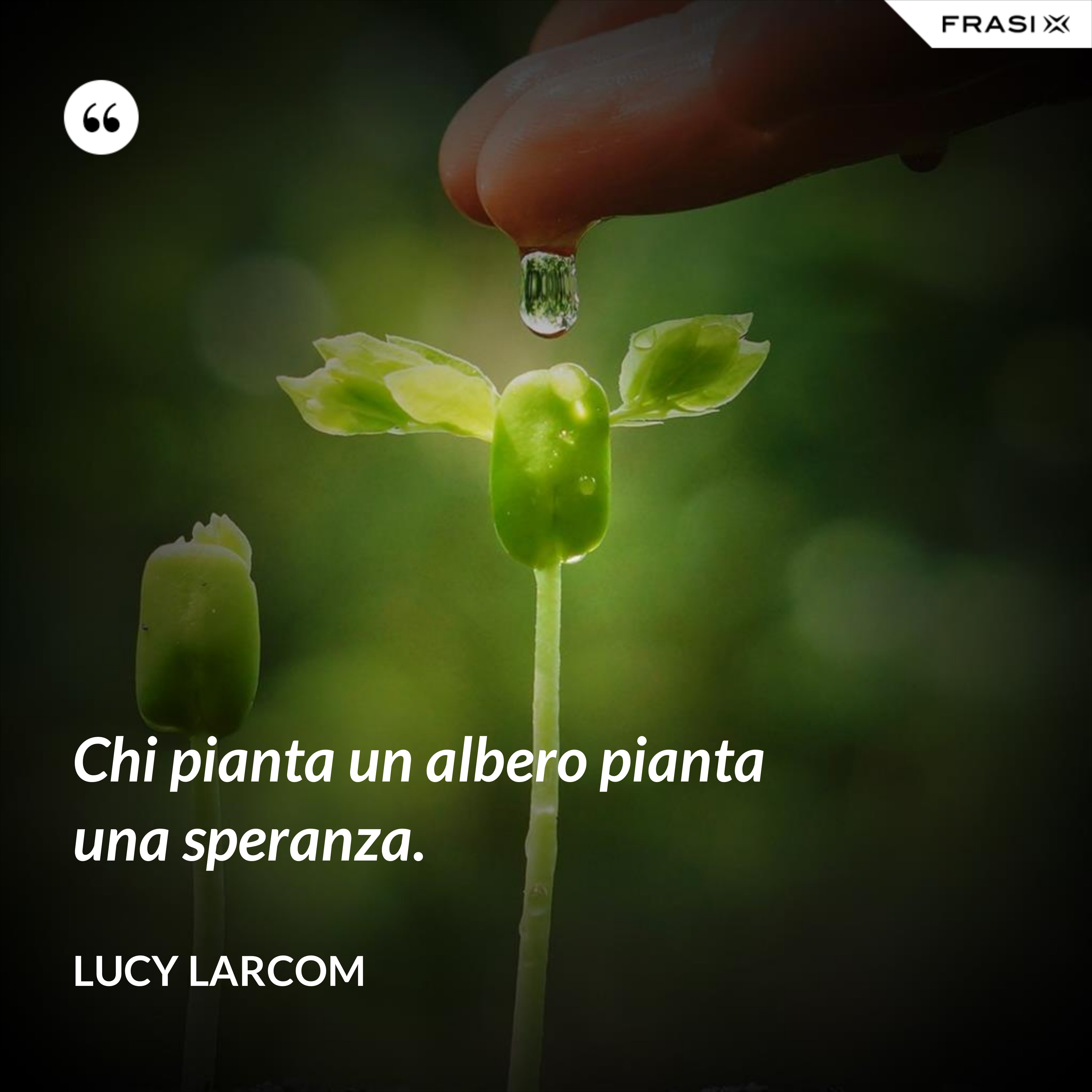 Chi pianta un albero pianta una speranza. - Lucy Larcom