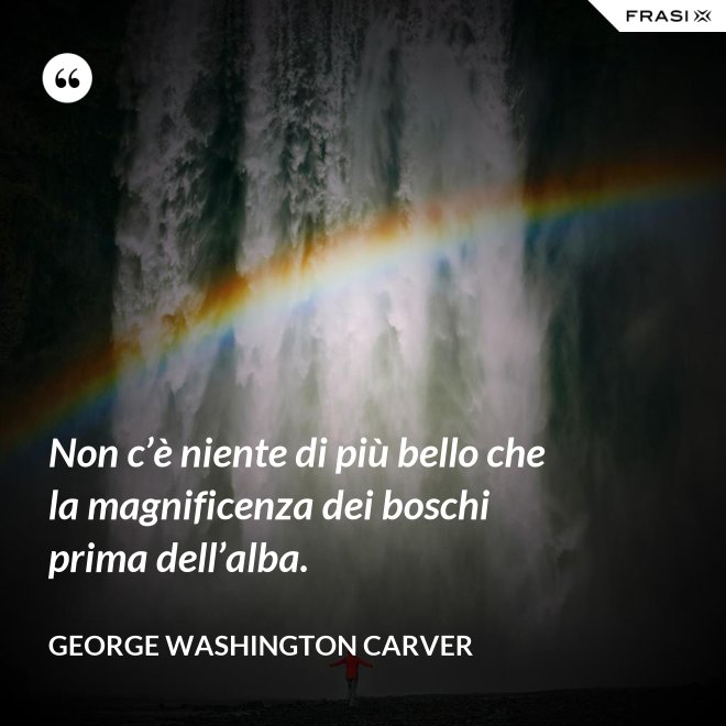 Non c’è niente di più bello che la magnificenza dei boschi prima dell’alba. - George Washington Carver