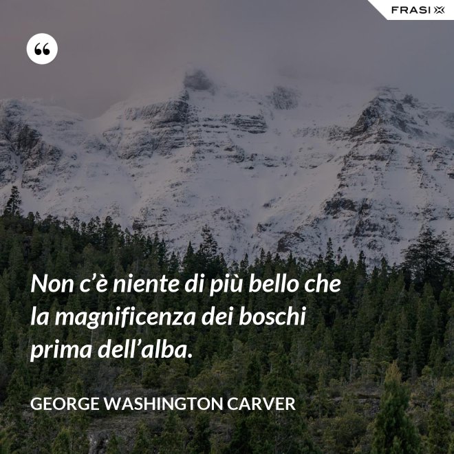 Non c’è niente di più bello che la magnificenza dei boschi prima dell’alba. - George Washington Carver
