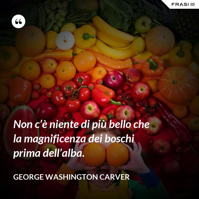 Non c’è niente di più bello che la magnificenza dei boschi prima dell’alba. - George Washington Carver