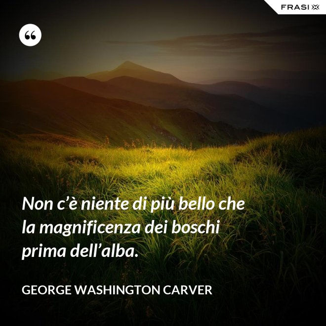 Non c’è niente di più bello che la magnificenza dei boschi prima dell’alba. - George Washington Carver