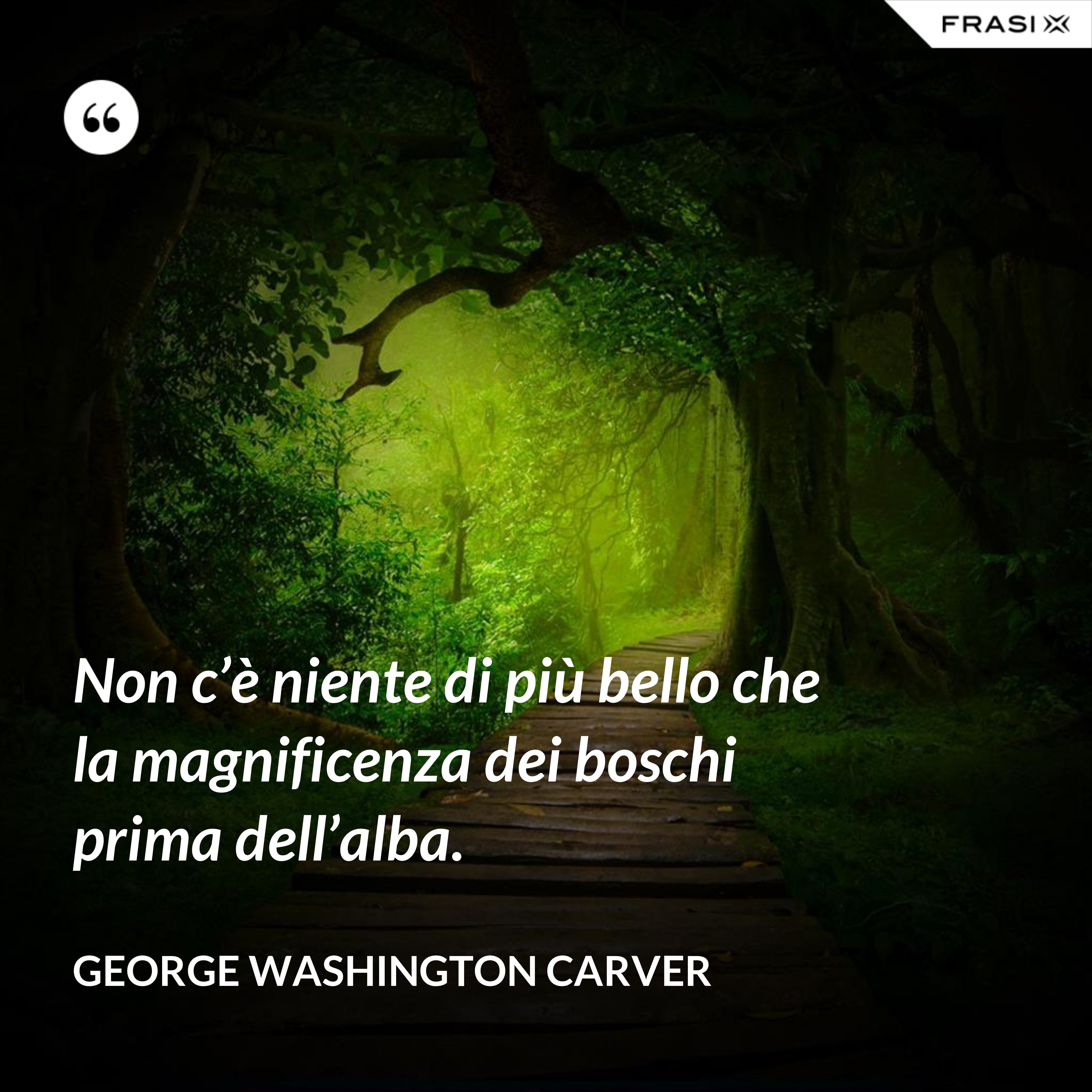 Non c’è niente di più bello che la magnificenza dei boschi prima dell’alba. - George Washington Carver