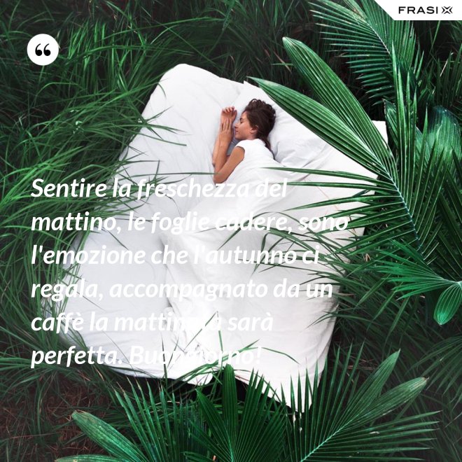 Sentire la freschezza del mattino, le foglie cadere, sono l'emozione che l'autunno ci regala, accompagnato da un caffè la mattinata sarà perfetta. Buongiorno! - Anonimo