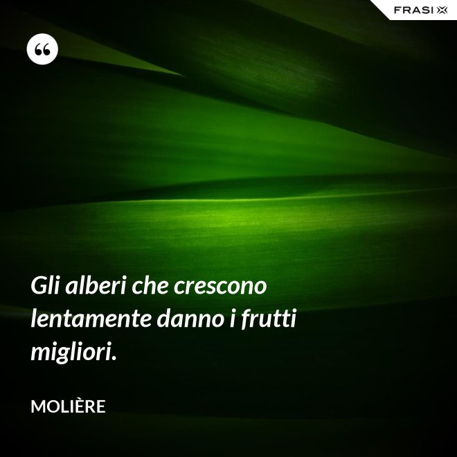 Gli alberi che crescono lentamente danno i frutti migliori. - Molière