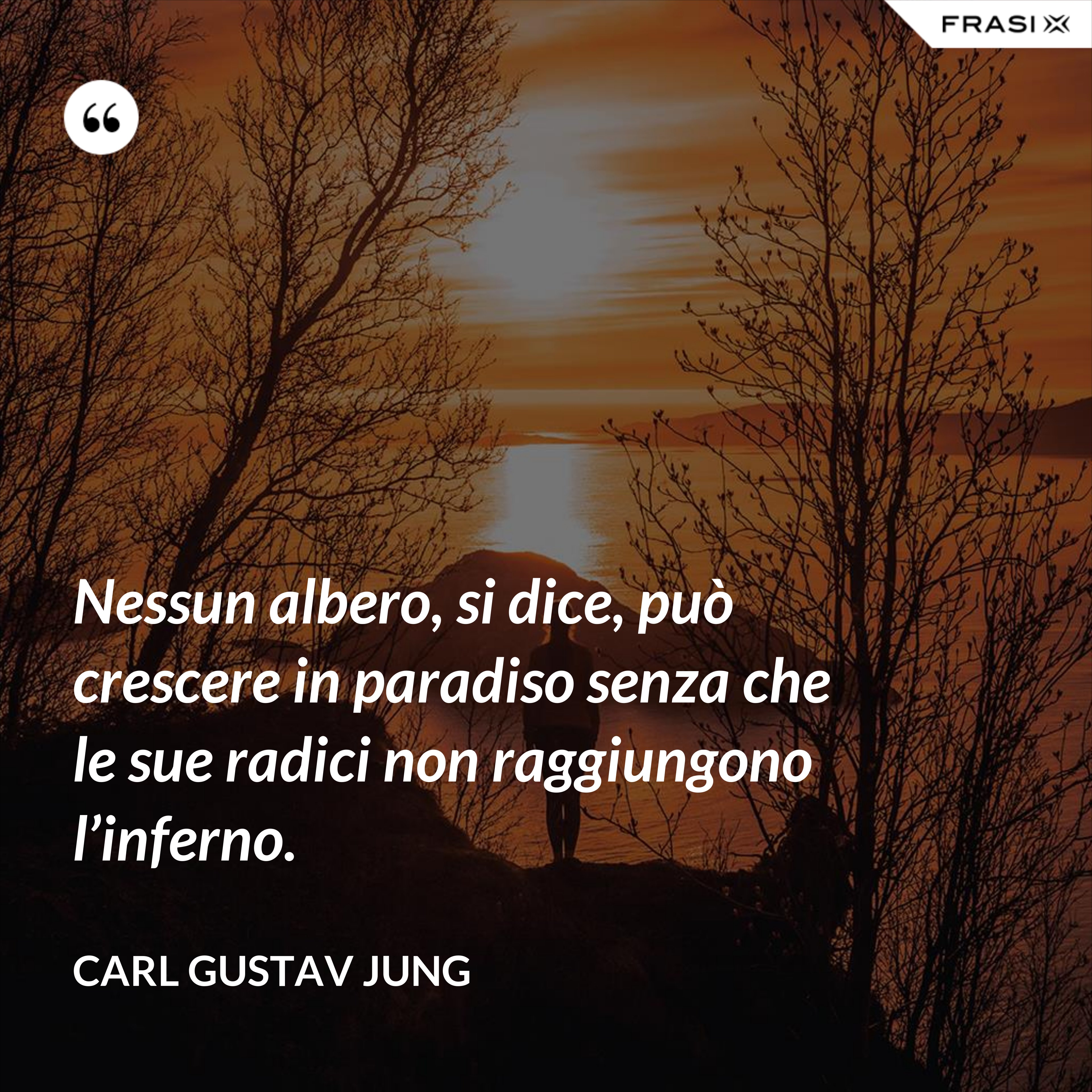 Nessun albero, si dice, può crescere in paradiso senza che le sue radici non raggiungono l’inferno. - Carl Gustav Jung