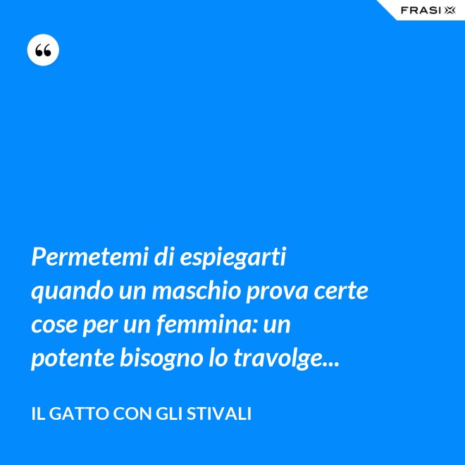 Permetemi di espiegarti quando un maschio prova certe cose per un femmina: un potente bisogno lo travolge... - Il gatto con gli stivali