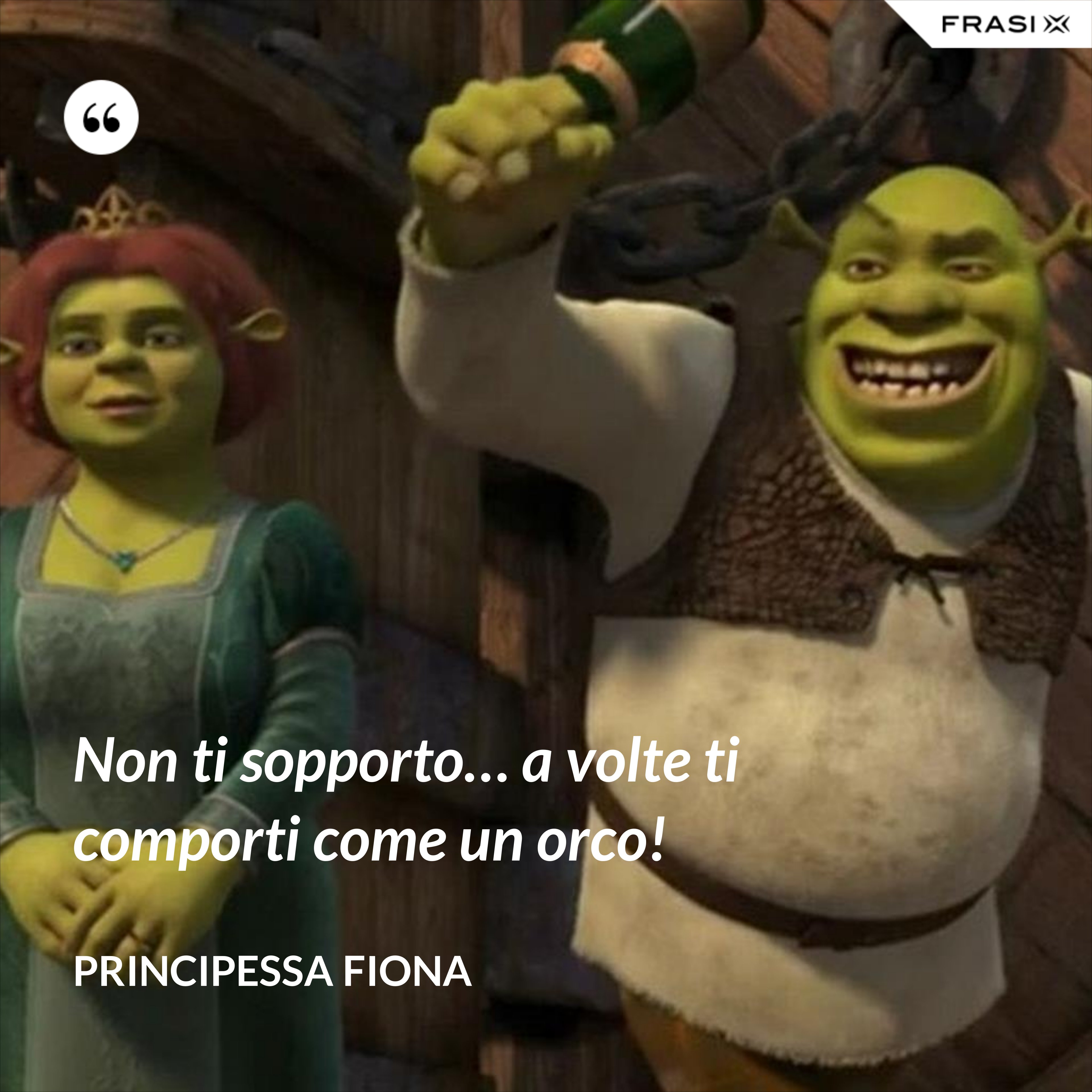 Non ti sopporto… a volte ti comporti come un orco! - Principessa Fiona
