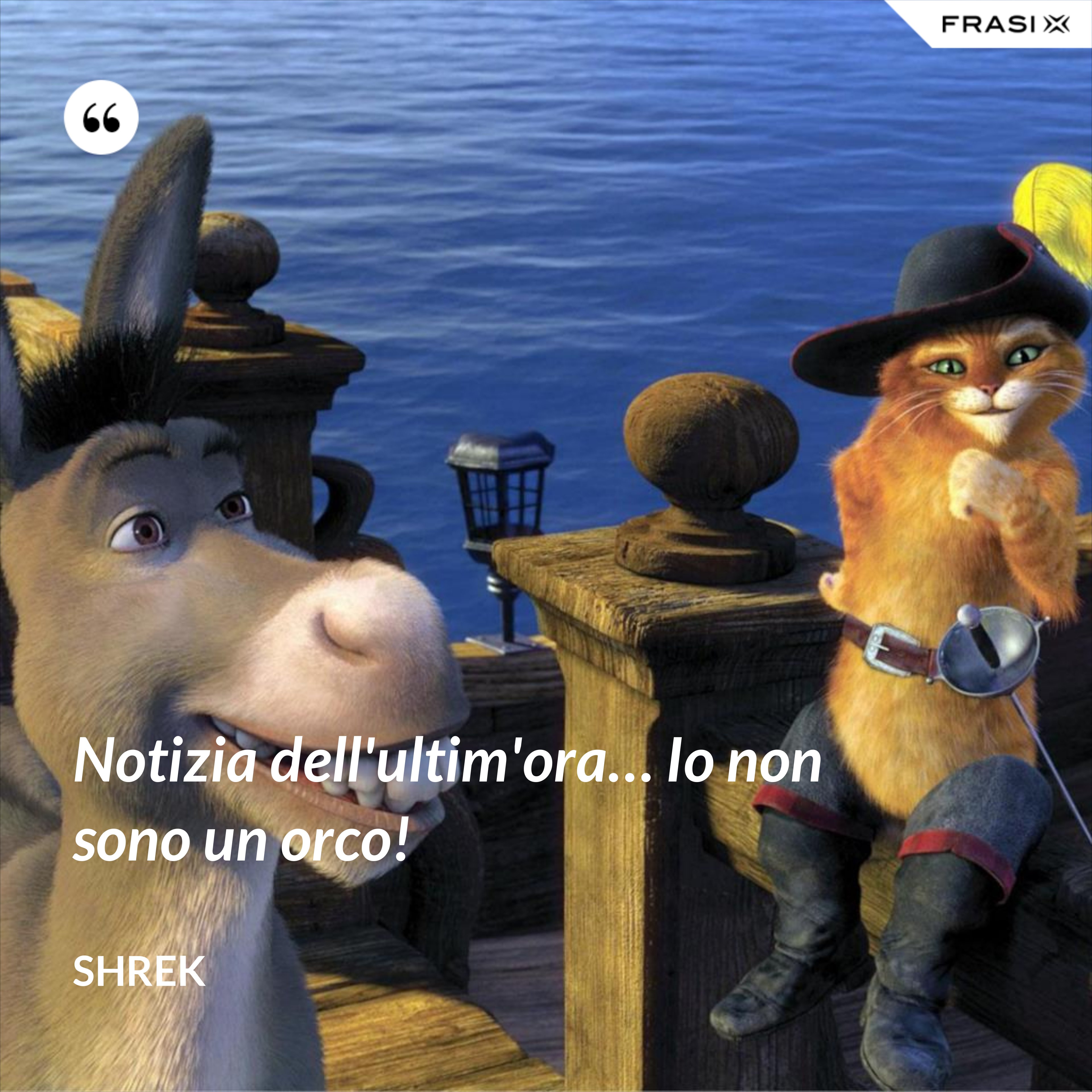 Notizia dell'ultim'ora… Io non sono un orco! - Shrek