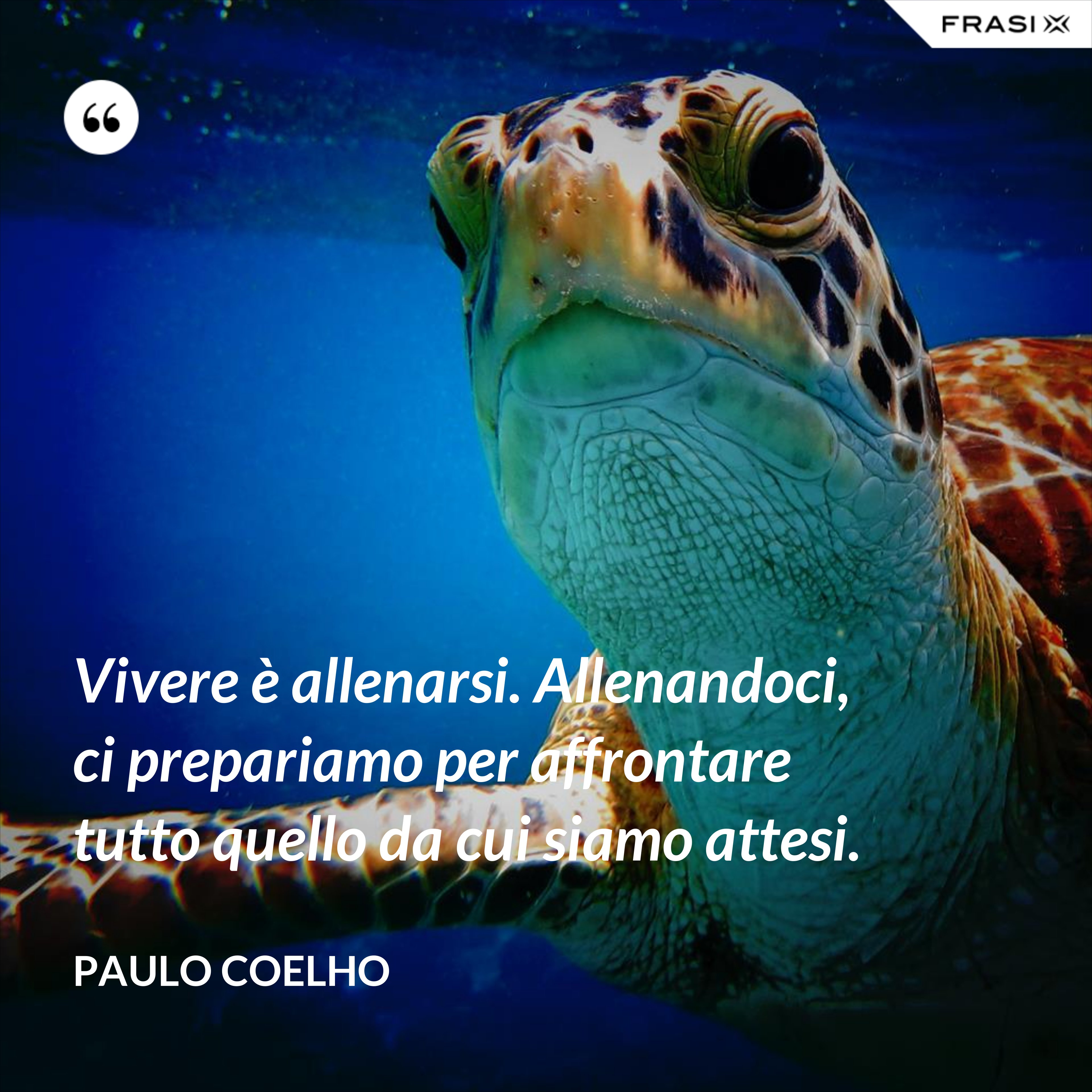 Vivere è allenarsi. Allenandoci, ci prepariamo per affrontare tutto quello da cui siamo attesi. - Paulo Coelho