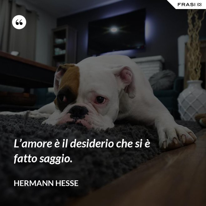 L’amore è il desiderio che si è fatto saggio. - Hermann Hesse