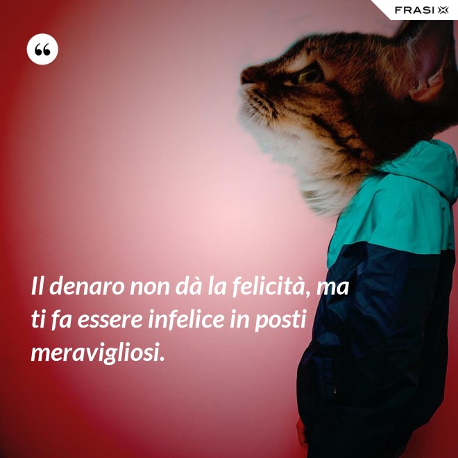 Il denaro non dà la felicità, ma ti fa essere infelice in posti meravigliosi. - Anonimo