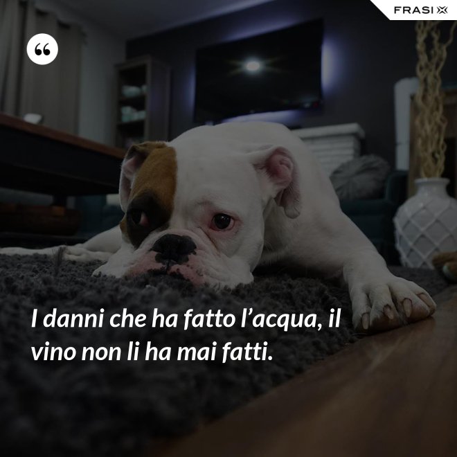 I danni che ha fatto l’acqua, il vino non li ha mai fatti. - Anonimo